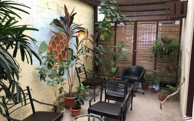 Hostel Dodero