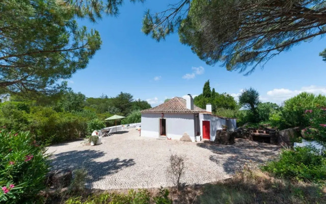 Pine Tree House in Azeit o