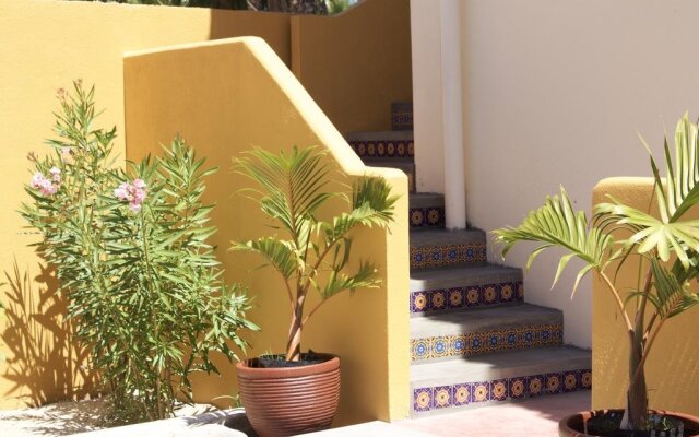 Las Palmas Tropicales