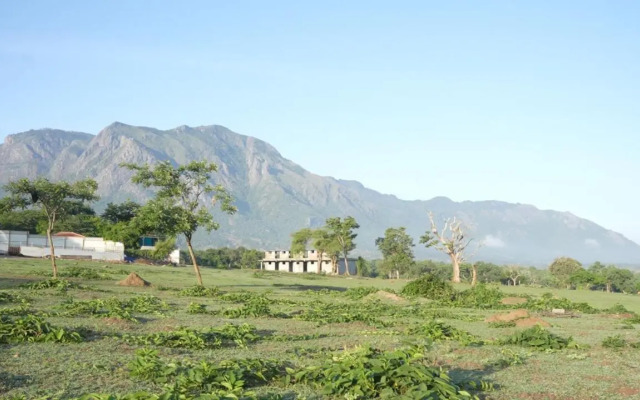 Wild Tusker Masinagudi by LexStays