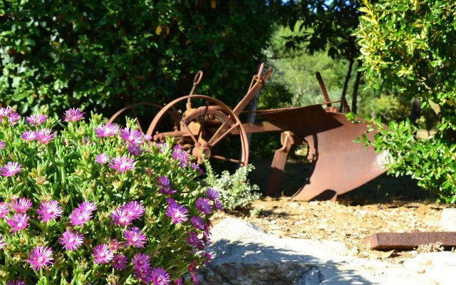 Podere Vignola