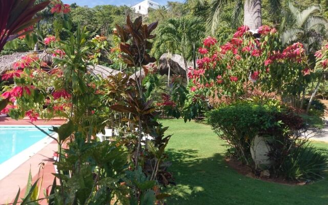 Casita Alegria