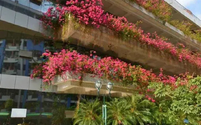 Zhanjiang Sunshine Apartment