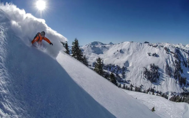 Contemporary Swiss Escape