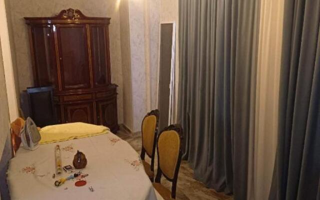 Amazing apartment in Signagi