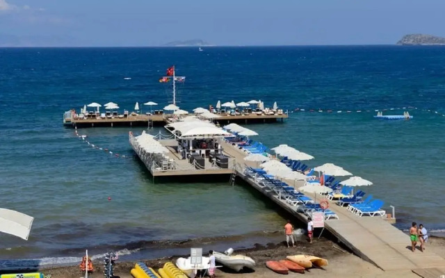 BO056 by Villaofsummer