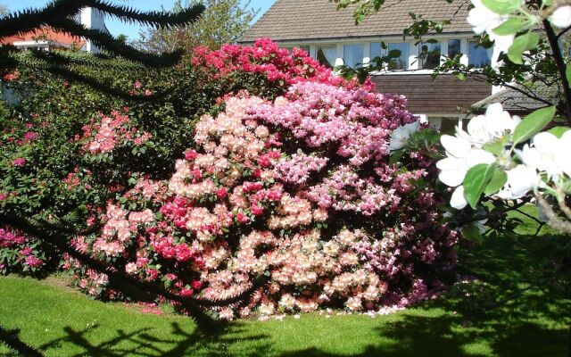 The Cherries Bed and Breakfast
