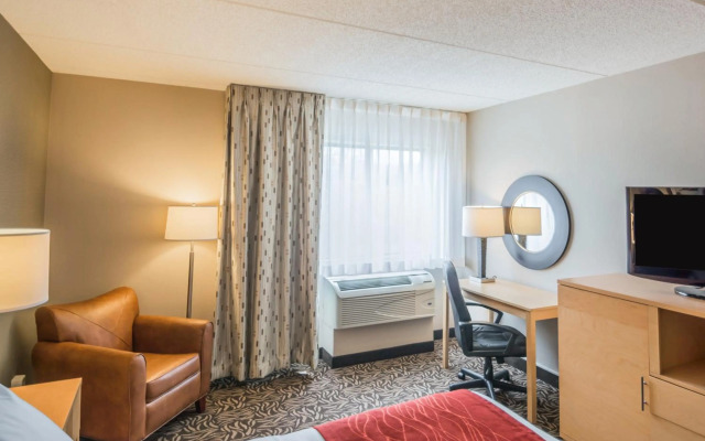 Comfort Inn - NYS Fairgrounds