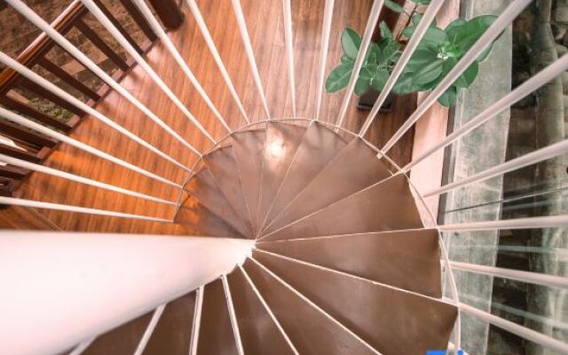 Tengchong and Shunanpo Harajuku