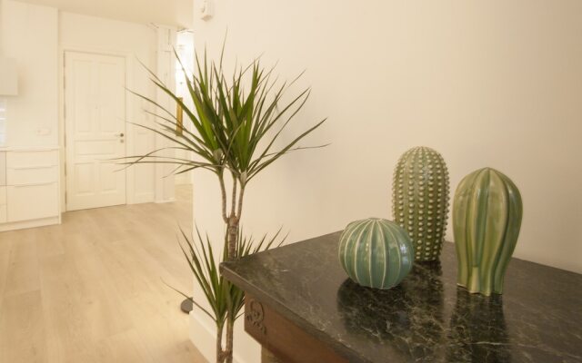 Mai by Oldtown San Sebastian apartments