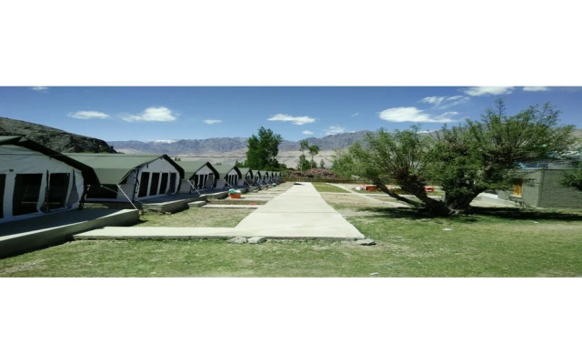 Nubra Summer Camp
