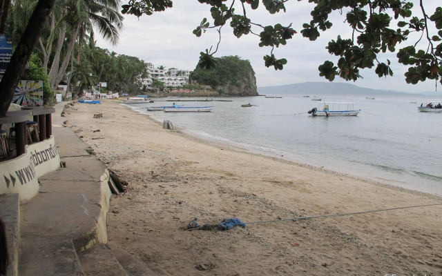 Blue Ribbon Dive Resort