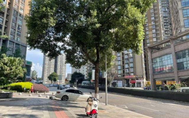 Xujing Boutique Hotel