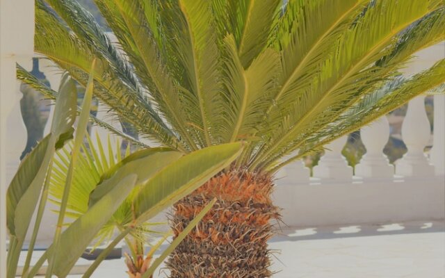 Villa La Terre Des Lauriers Appartement