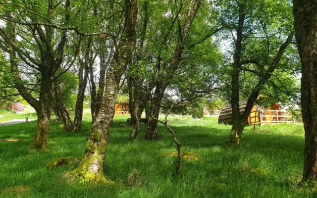 Glendalough Glamping