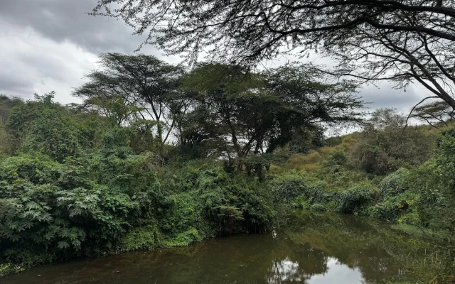 Koki Lodge