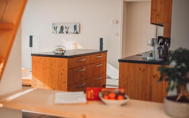 ECO Boutique Hotel AMS Beagle