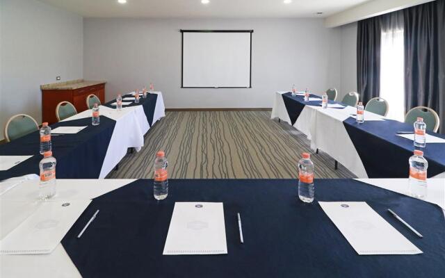 Hampton By Hilton Chihuahua