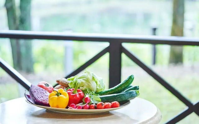 Tokyu Vacations Karuizawa