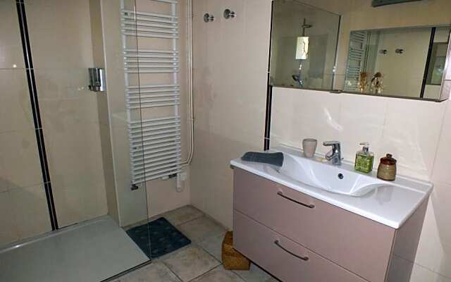 Une Ronce sous le Figuier