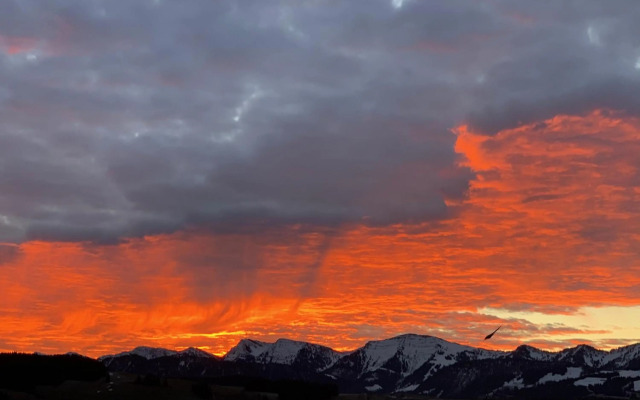 PanoramaApart - Alpzeit im Westallgäu