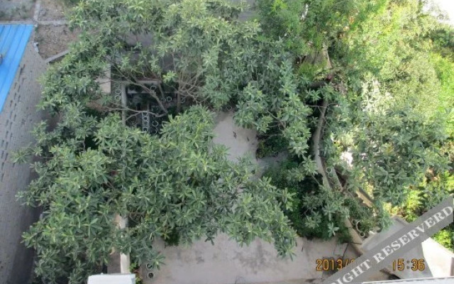 Shendu Lvyuan Farmhouse