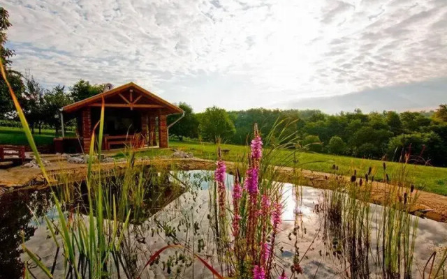 Patohill Vineyard Village