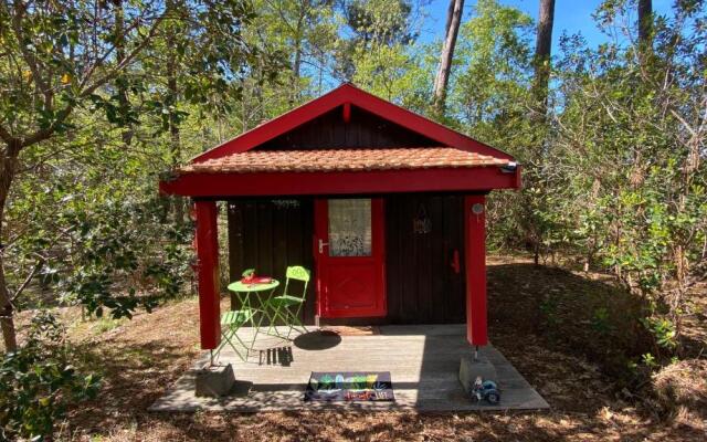 L’Oasis au milieu de la Forêt