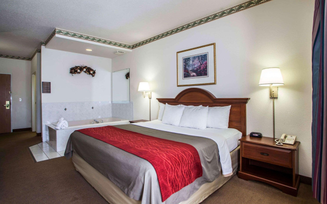 Comfort Inn & Suites Geneva - West Chicago