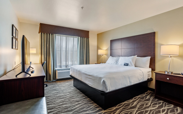 Cobblestone Hotel & Suites-Little Chute