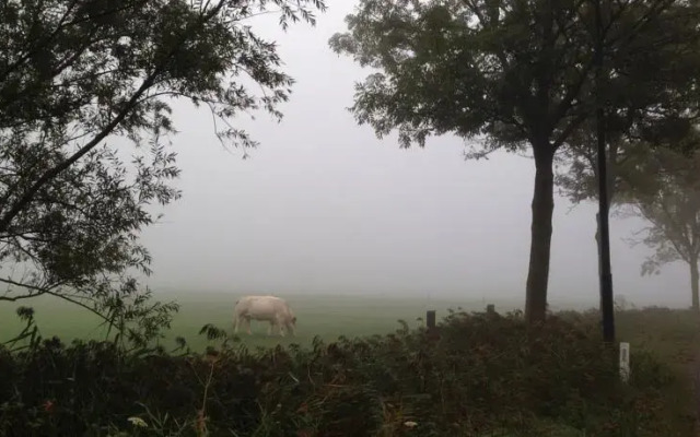 Bed and Breakfast Radijsje