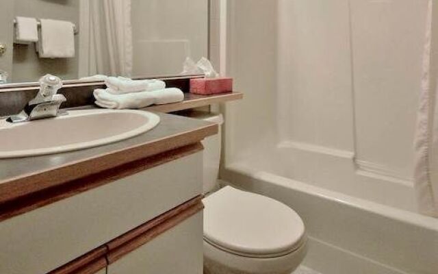 Timberline Lodge - Silver