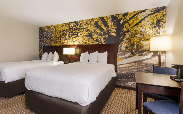 Comfort Inn Chester - Richmond South