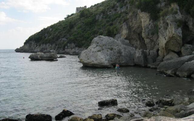 "Il nespolo"