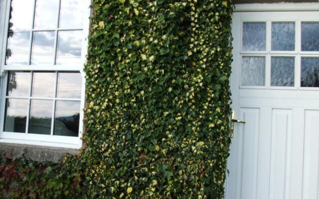 Ivy House Holiday Home