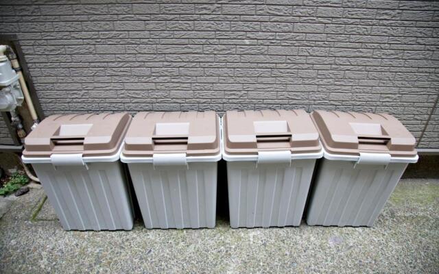 Mita Kodate - Vacation STAY 8863