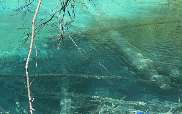 Qingyaxuan Inn (Jiuzhai Eternal Love Branch)