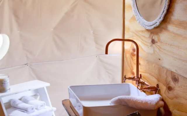 Domescapes in the Vines