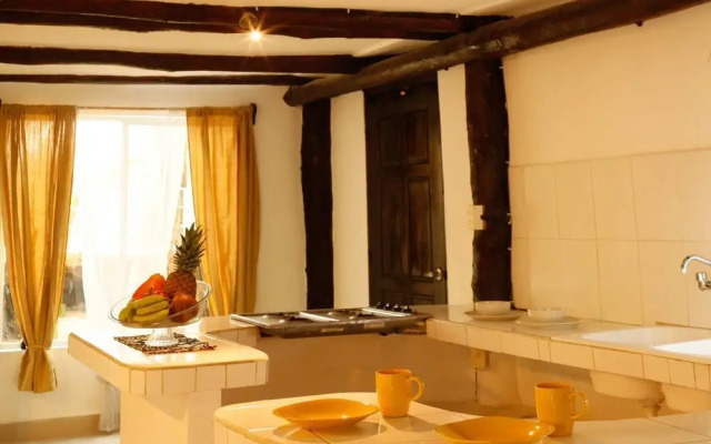Casa Selva de Luz