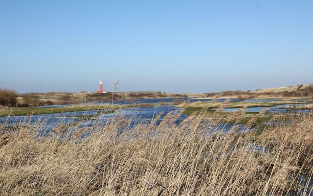 Gorgeous Holiday Home in Texel With Sauna