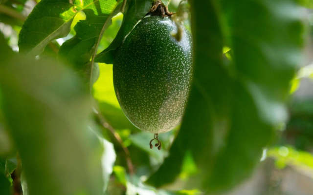 MarAzul, Casa grade familiar en Zorritos