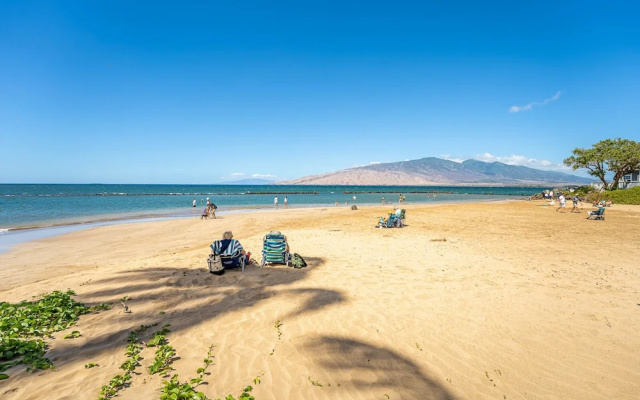 Kihei Bay Surf A209