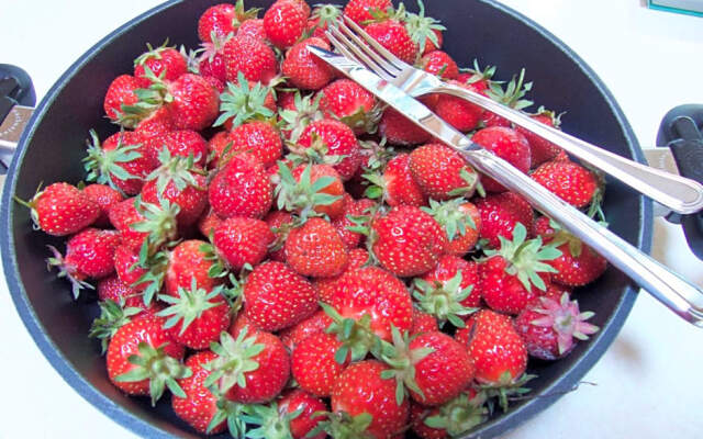 End of the road B & B