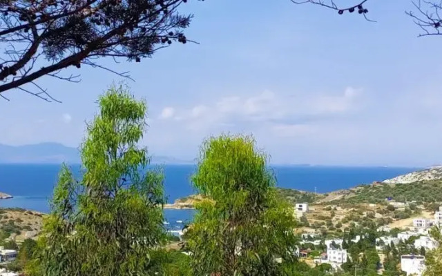 Sole Foça