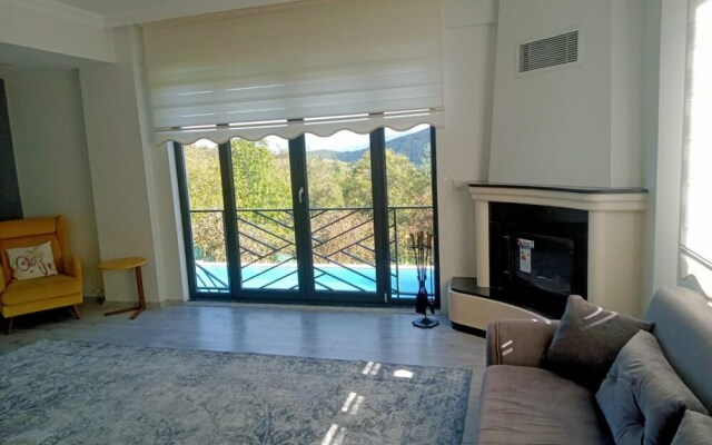 Invigorating Villa With Private Pool in Sapanca