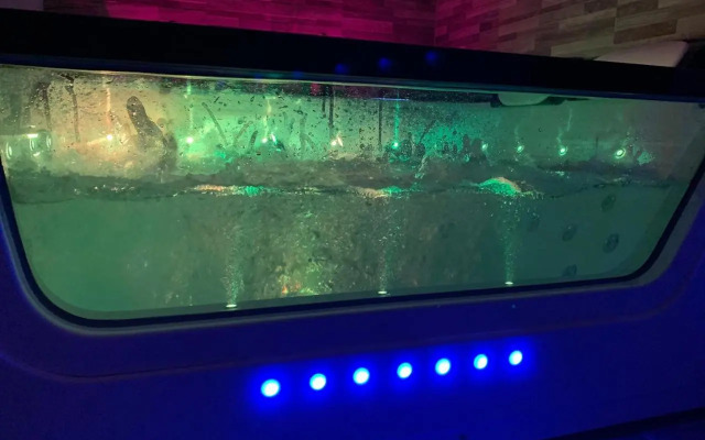 Appartement Cosy Jacuzzy Luxe Gare de Toulon