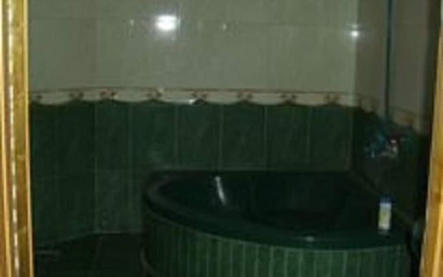 Hotel Luxury Palace Naran