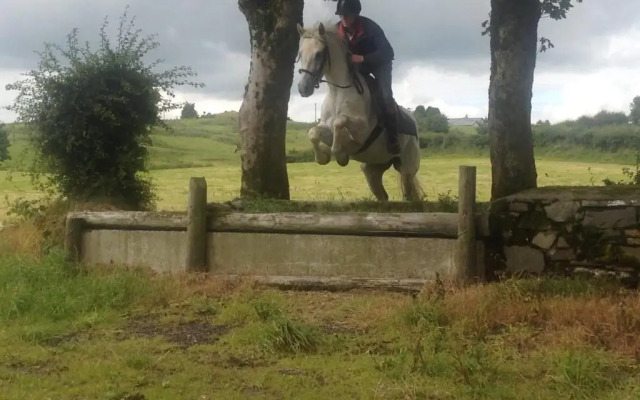 The Rock Equestrian Farm B&B