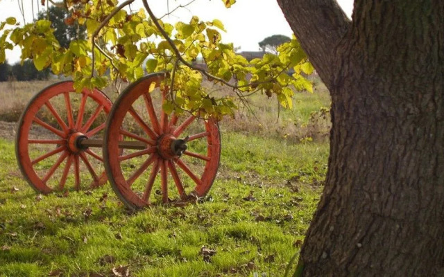 B&B Villa Ceccarini Fonte DOro