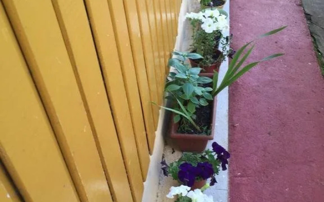 Cabaï¿½as Ana Marï¿½a